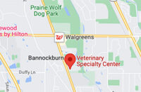 Veterinary Specialty Care